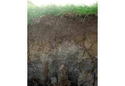 Robinson Kingsley Investment Strategies 