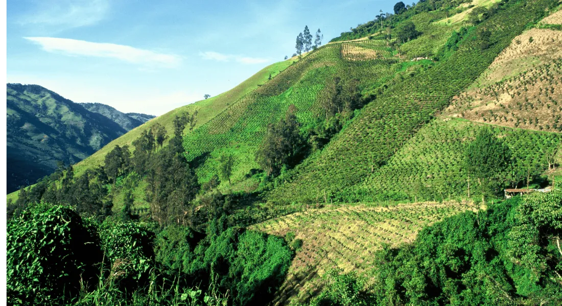 Robinson Kingsley Investment Strategies 