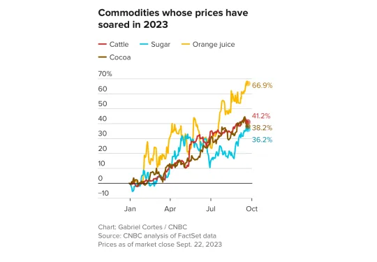 Robinson Kingsley Investment Strategies