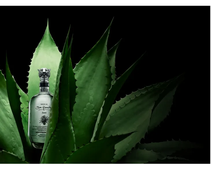 Robinson Kingsley Investment Strategies