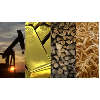 Robinson Kingsley Investment Strategies