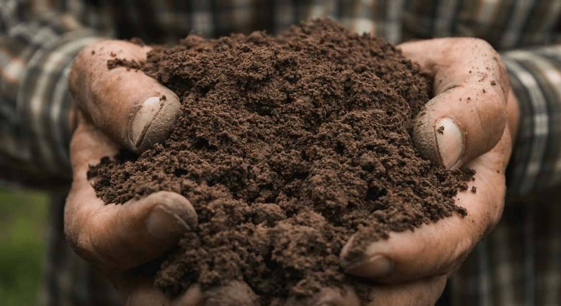 Robinson Kingsley Investment Strategies 