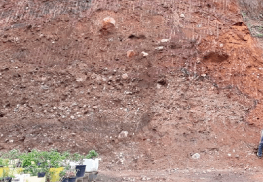 Robinson Kingsley Investment Strategies 