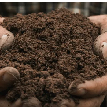 Robinson Kingsley Investment Strategies